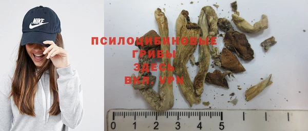 прущая мука Кулебаки