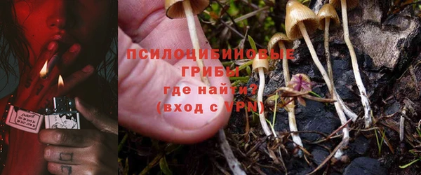 дурь Кукмор