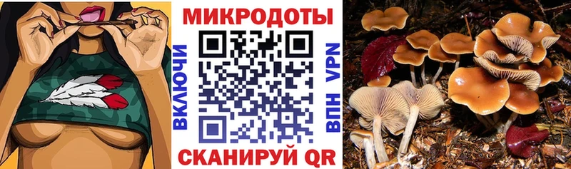 Купить  Пучеж  Галлюциногенные грибы Magic Shrooms 