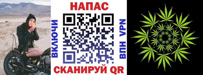 Конопля сатива  Купить где  Пучеж 